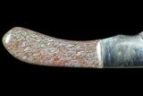 Damascus Knife With Fossil Dinosaur Bone (Gembone) Inlays #86542-3